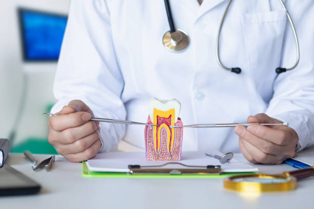 Best Emergency Dental Extractions in Greenwood, PA